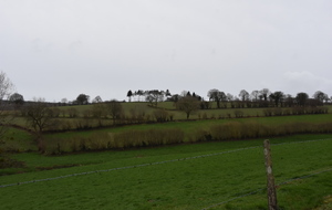 5e5d0d2f64626_DSC2909.JPG