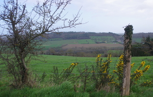 5e7f65fd811a8_IMGP3812.JPG