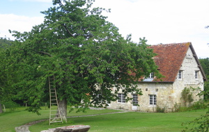 5f33cf70f1171_IMG5108.JPG