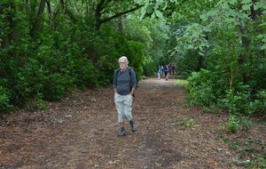 5f5da60d49f05_DSC3485.JPG