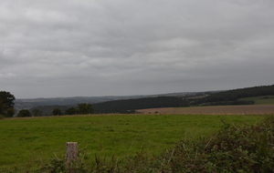 5f758f629fa2c_DSC3596.JPG