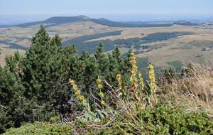 Vue sur le Rocher Tourte