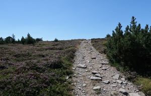 À l'assaut du Suc de la Lauzière ...