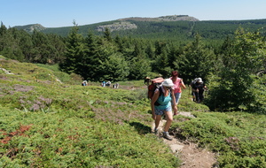 Quelques courageux à l'assaut du Montfol ...
