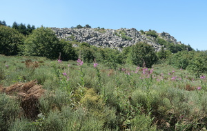 Le Suc de la Lauzière