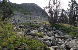 Ces éboulis phonolithiques sont appelés clapiers ou chiers dans le langage local