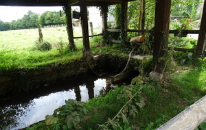 Lavoir du Château