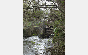 Roue du moulin de Bully