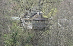 Cabane dans un arbre