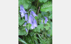6818899d773ff_IMG9543.JPG