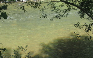 6a301543d9681_IMG1349.JPG