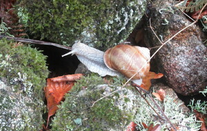 6abbd2a750cc5_IMG1823.JPG