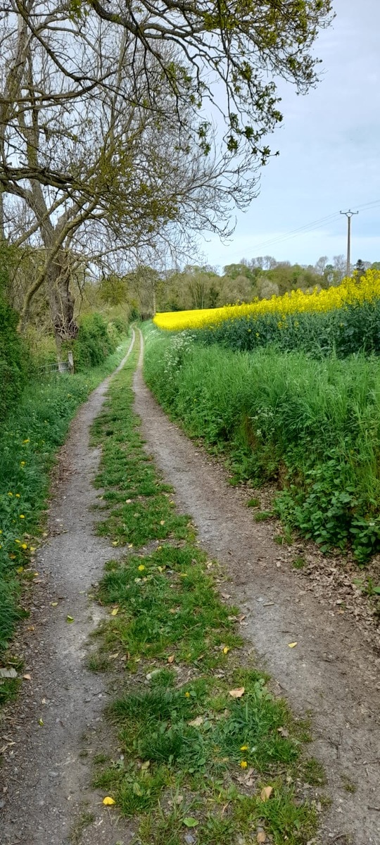 Marche rapide : TILLY-SUR-SEULLES
