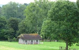 Glanville