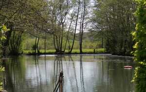 Les Bois de la Viette _ L'Oudon
