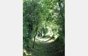 Longvillers Le Plateau de Clairefontaine