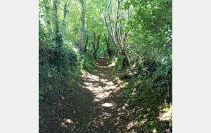 Caumont-sur-Aure - Sallen