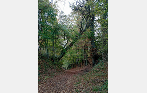 Sainte Honorine du Fay : passant par Trois Monts