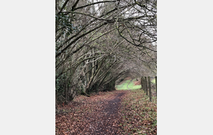 Gonneville en Auge : Le nouveau monde