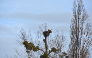 randonnée douce : Pétiville