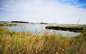 Marche rapide : Sallenelles