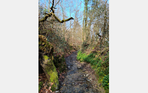 Sur les traces des Templiers : Vassy