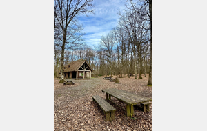 Marche rapide : Forêt de GRIMBOSQ