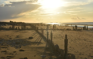 Marche Rapide : Ver- sur- mer