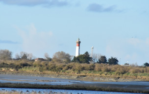 randonnée douce : AMFREVILLE