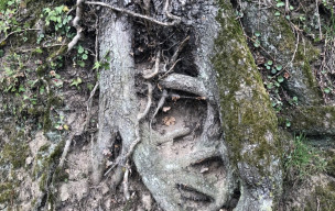 Les Gorges de la Vire : Sainte Marie Outre l'eau