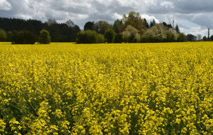 Les Pépinières : Ussy