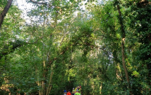 Marche d'endurence