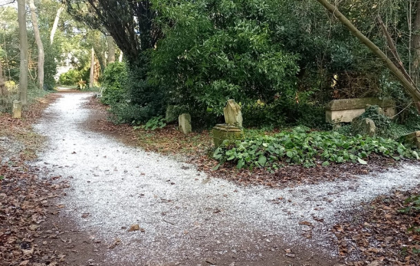 Cimetières dormants