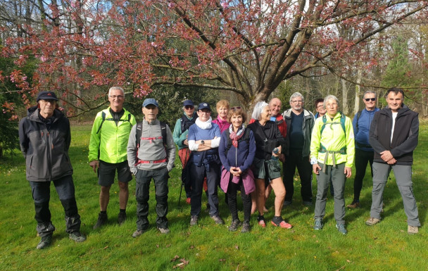 Marche rapide : Forêt de GRIMBOSQ